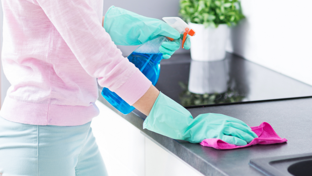 Home Cleaning Services