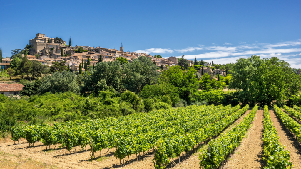 french wine regions